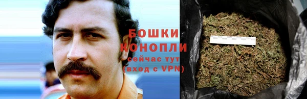 PSILOCYBIN Магас