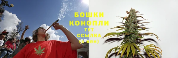 PSILOCYBIN Магас