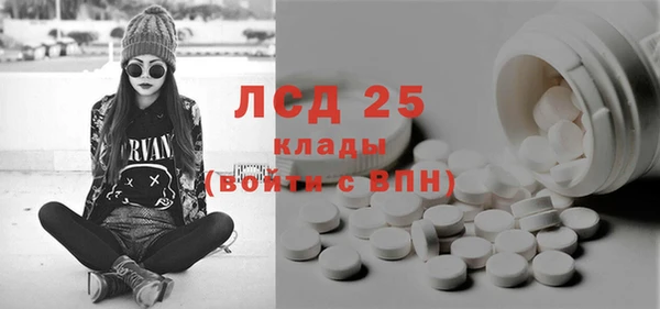 PSILOCYBIN Магас