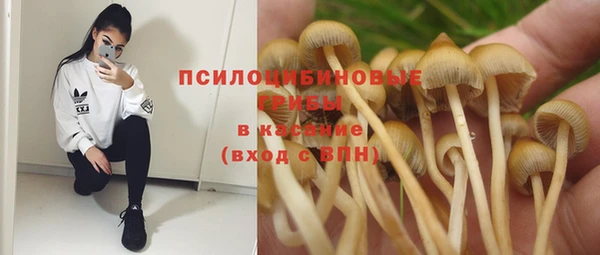 PSILOCYBIN Магас