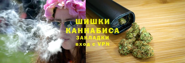 PSILOCYBIN Магас